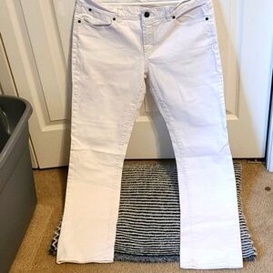 C4 : Singnature jeans:- women straight jeans 12/31